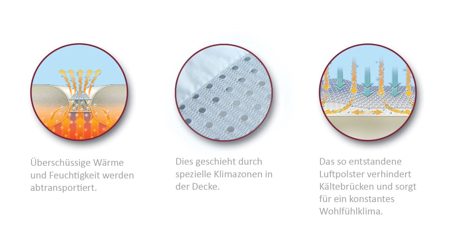 Mit dieser Illustration können Sie die Wirkungsweise der Klimazonen nachvollziehen.