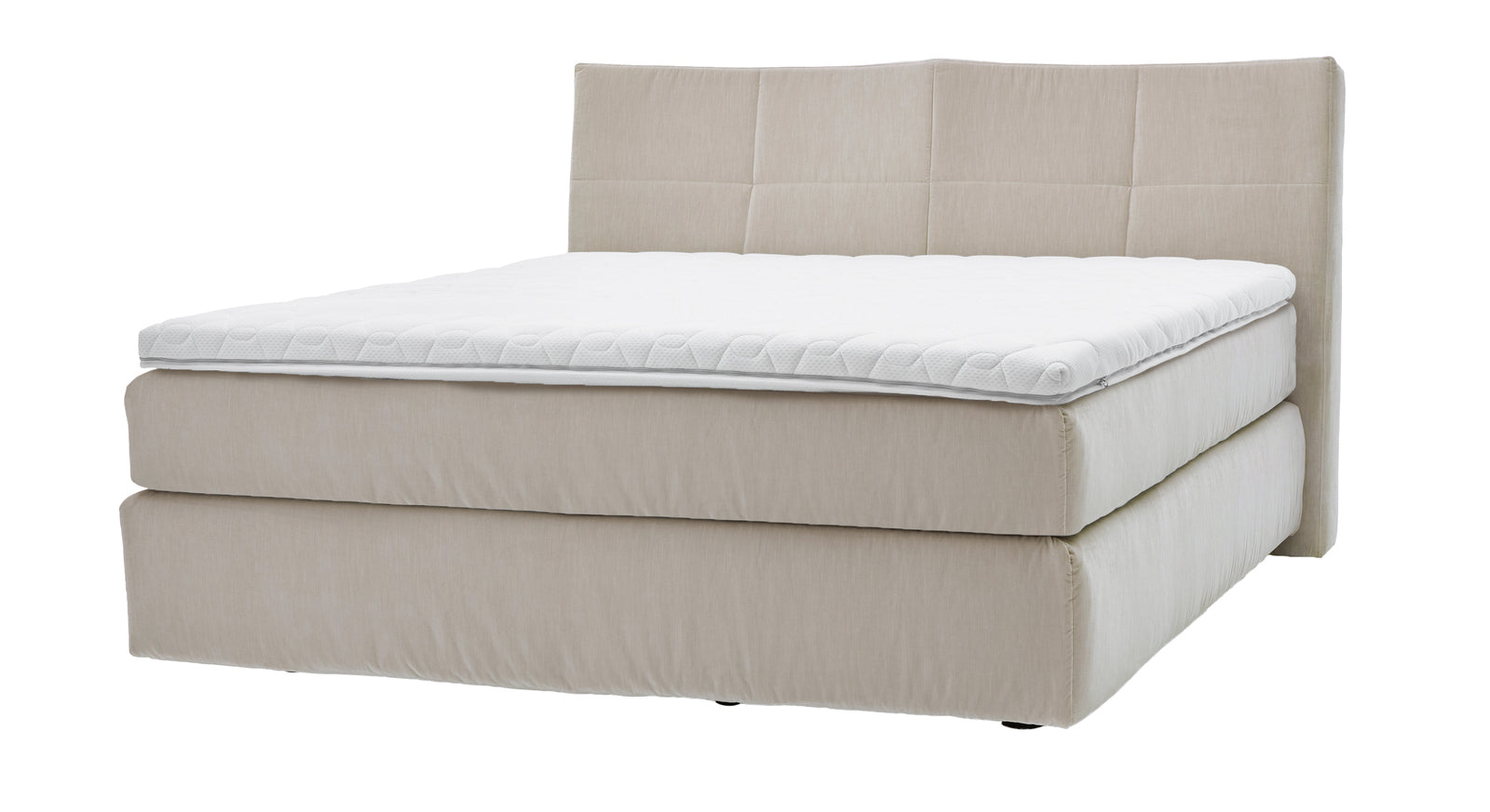 Das MUSTERRING Boxspringbett "Elias" JAB Kollektion Kopfteil geschwungen – hier in Creme.