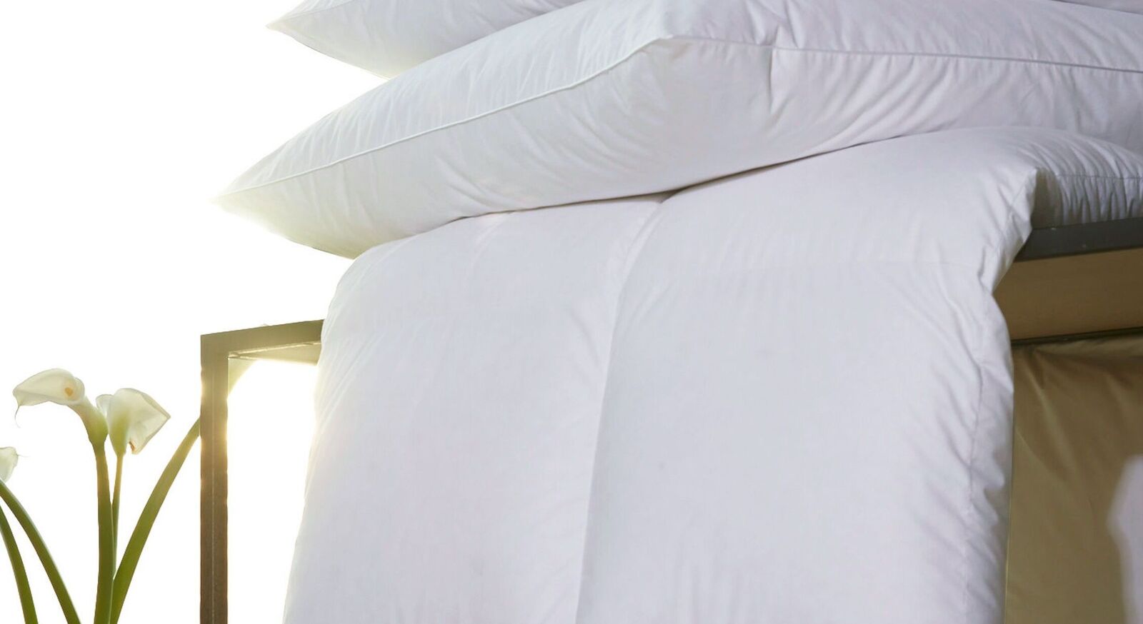 Centa-Star Daunen-Bettdecke "Harmony" warm