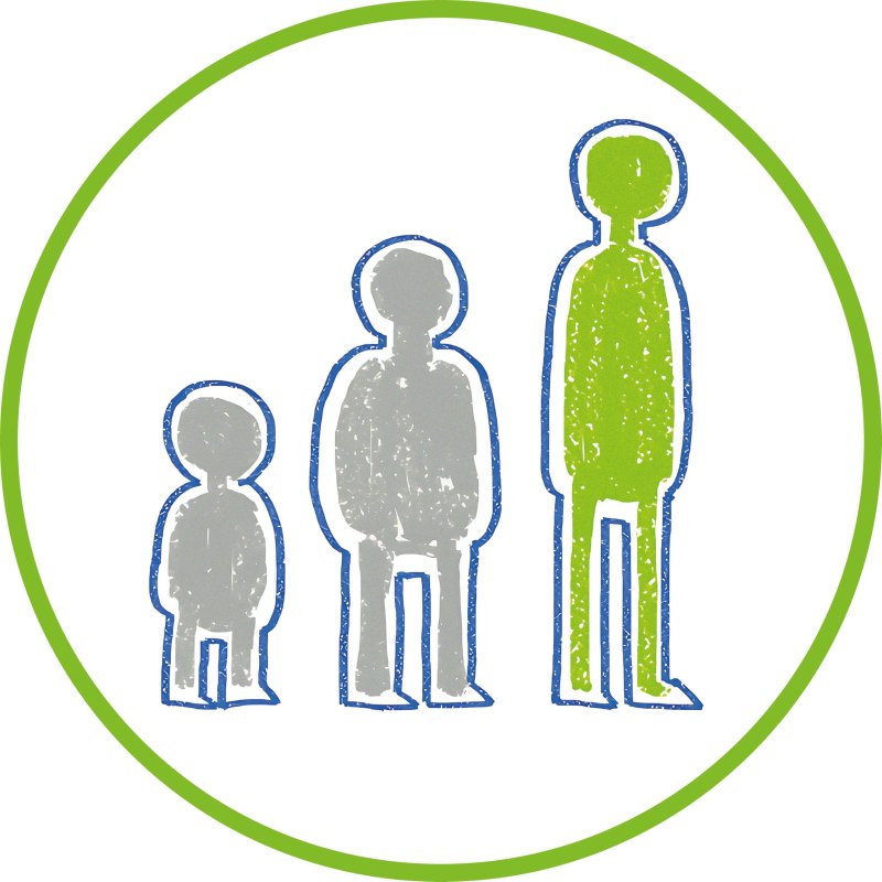 Stabilo Füllhalter Easybirdy Timber